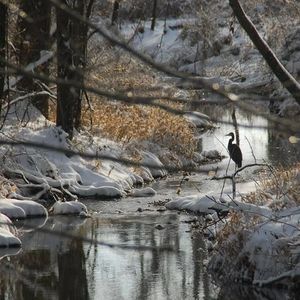 Meet your Posher, Doug